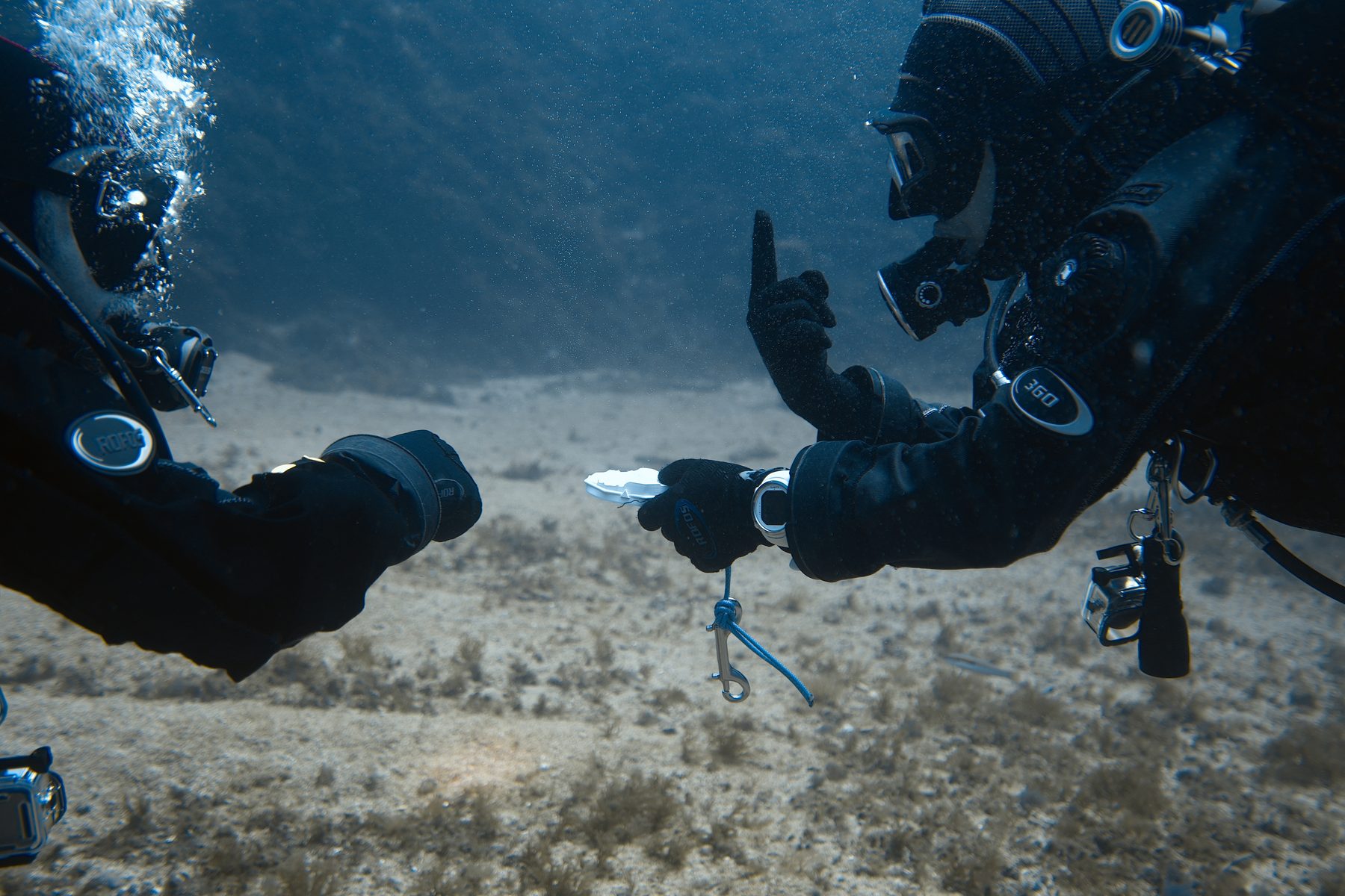 Diver holding the octagonal map